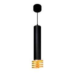 Больше о товаре Подвесной светильник Elektrostandard DLN103 GU10 черный/золото 4690389148811