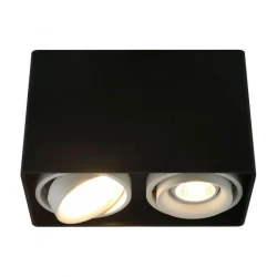Больше о товаре Потолочный светильник Arte Lamp A5655PL-2BK