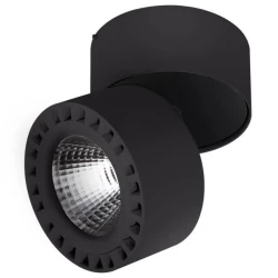 Больше о товаре Потолочный светодиодный светильник Lightstar Forte 381374