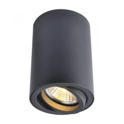 Больше о товаре Потолочный светильник Arte Lamp A1560PL-1BK