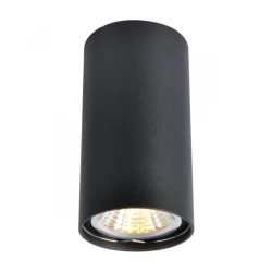 Больше о товаре Потолочный светильник Arte Lamp A1516PL-1BK