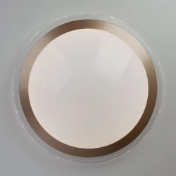 Больше о товаре Потолочный светодиодный светильник Eurosvet Fusion 40003/1 LED матовое золото