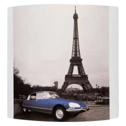 Больше о товаре Настенный светильник Alfa Paris 91365