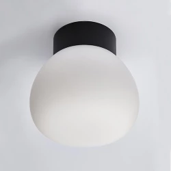 Больше о товаре Настенно-потолочный светильник Italline DL 3030 black