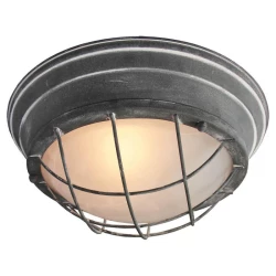 Больше о товаре Потолочный светильник Lussole Loft GRLSP-9881